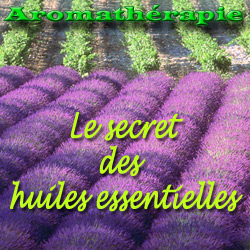 aromatherapie et medecine douce