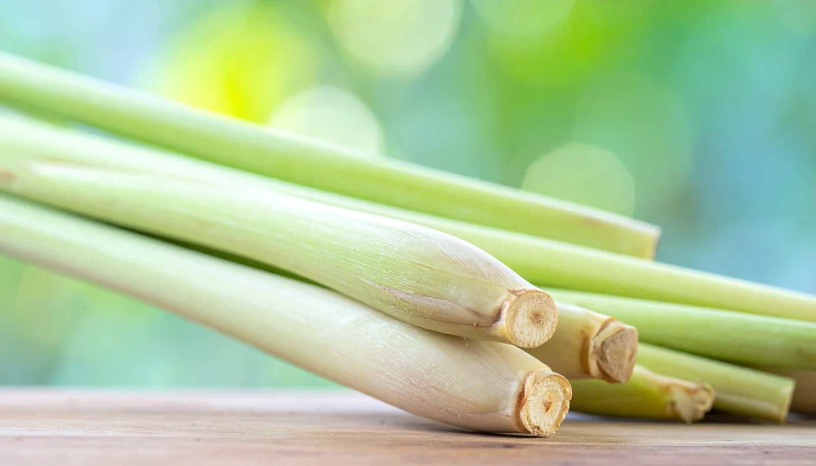 Lemongrass (citronnelle de Madagascar)